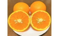清見オレンジ約5kg （15個前後）L~3Lサイズ【地元印南町産】