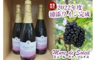 【数量限定】2022年度産 浦添ワイン Mure de Soleil（ミュール・ドゥ・ソレイユ）