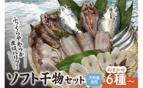 新鮮ソフト干物セット おまかせ6種以上 【 干物 ソフト ひもの 魚 新鮮 海鮮 6種以上セット 詰め合わせ おかず 朝食 和食 おつまみ 】 1258339 - 岡山県備前市