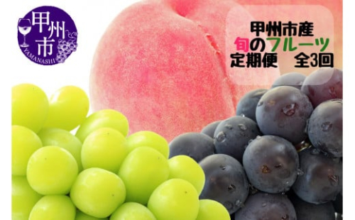 【定期便】甲州市産厳選旬のフルーツ定期便全3回（桃・巨峰・シャインマスカット）【2026年発送】（MG）C8-480 【桃 もも シャインマスカット 巨峰 葡萄 ぶどう 令和8年発送 期間限定 山梨県産 甲州市 フルーツ 果物】