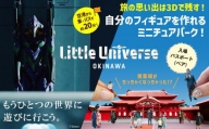 Little Universe 入場パスポート (ペア)