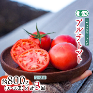 ＜2026年1月～5月頃発送＞【定期便3回】＜アルテトマト 約800g（10‐16玉）×3箱＞計約2.4kg フルーツトマト 栽培期間中化学農薬・化学肥料不使用 トマトハウスナカムラ 高知県 佐川町