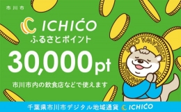 【ふるさと納税】デジタル地域通貨ICHICOふるさとポイント30,000pt【12203-0219】
