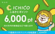 デジタル地域通貨ICHICOふるさとポイント6,000pt【12203-0222】