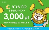 デジタル地域通貨ICHICOふるさとポイント3,000pt【12203-0223】