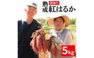 訳あり 熟成 紅はるか 5kg さつまいも いも 低温熟成 完全熟成収穫 M〜2Lサイズ 高糖度 料理 国産 愛媛県 愛南町