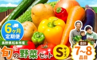 【定期便6回】子育て農家の野菜セット（Sサイズ）農薬・化学肥料不使用 | 長野県 松本市