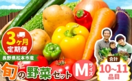 【定期便3回】子育て農家の野菜セット（Mサイズ）農薬・化学肥料不使用 | 長野県 松本市