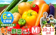 【定期便6回】子育て農家の野菜セット（Mサイズ）農薬・化学肥料不使用 | 長野県 松本市