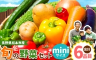 子育て農家の野菜セット（miniサイズ）農薬・化学肥料不使用 | 長野県 松本市