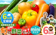 【定期便6回】子育て農家の野菜セット（miniサイズ）農薬・化学肥料不使用 | 長野県 松本市