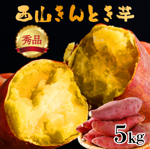 【秀品】西山きんとき芋５ｋｇ 12595 - 高知県室戸市