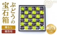 岡山県産 ぶどうの宝石箱（シャインマスカットとニューピオーネ又はオーロラブラック）36粒（1粒14g以上）1箱 贈答用 たけまさぶどう園