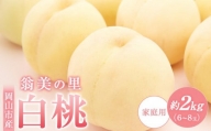 岡山市産 白桃 ご家庭用 約2kg（6～8玉）翁美の里＜2024年7月～8月上旬発送＞