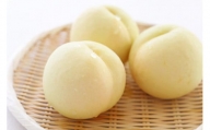 岡山県産 ご家庭用 白桃 1kg以上（4～6玉） 品種おまかせ＜2024年6月下旬以降発送＞