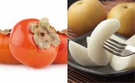 【訳あり】輝太郎柿と梨のセット 3kg