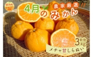 4月の御浜柑橘 メチャ甘不知火(3キロ前後)