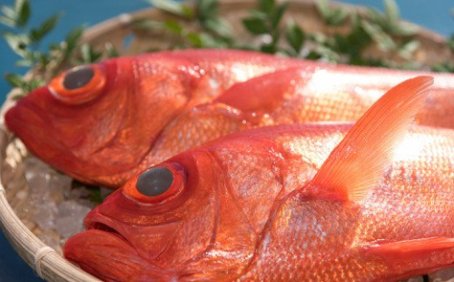 高級金目鯛２尾（鮮魚） 12609 - 高知県室戸市