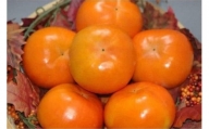 (G135) 富有柿Ｌ 32玉 二段（鈴木柿園）