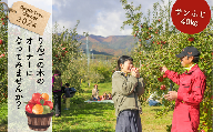 KO06-24A りんごの木のオーナー（サンふじ）【40kg限定】／11月中旬～下旬頃収穫  //長野県 南信州 りんごオーナー りんごの木オーナー フジ 収穫体験