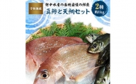 竹中水産の当地自慢の鮮魚2種「真鯵と天鯛」!約1キロセット!(宇和海産)＜C22-255＞【1073912】