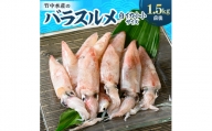 竹中水産のバラスルメ(白イカの小小サイズ)1.5kg＜C22-271＞【1115289】