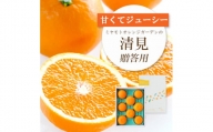 ミヤモトオレンジガーデンの「 清見 贈答用 」[D25-100]