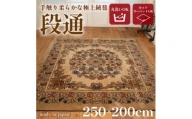 ＜訳あり＞絨毯 (3畳 長方形 250×200) キャニオン ベージュ【1330935】
