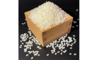お米マイスターが厳選したお米です|お米 5キロ ～複数原料米コシヒカリ【1486592】