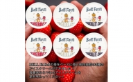 農家直送!BELL FARMの美味しい苺アイスクリーム　3種×2個　6個セット【1082439】