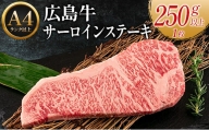 広島牛サーロインステーキ1枚【250g以上】（A4ランク以上）