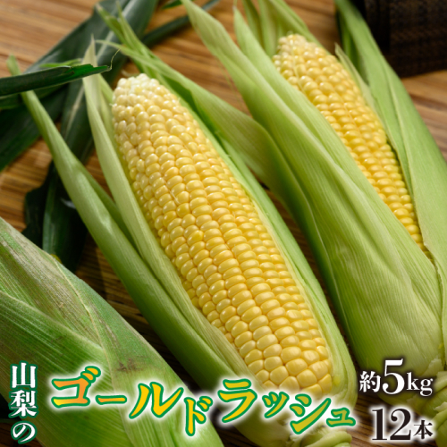 ＜2026年/令和8年発送先行予約＞ゴールドラッシュ 約5kg　12本入り SWAO003 1262507 - 山梨県昭和町