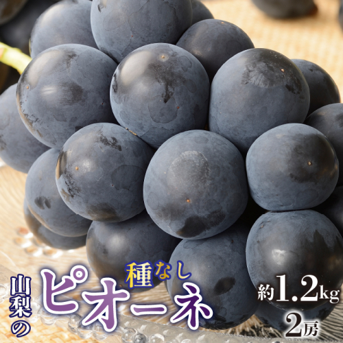 ＜2026年/令和8年発送先行予約＞種無しピオーネ　約1.2kg　2房 SWAO001 1262513 - 山梨県昭和町