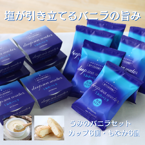 【TVで紹介！】塩バニラアイス 12個 最中 カップ 室戸海洋深層水使用 高知 アイス アイスクリーム ご当地 スイーツ ご当地スイーツ 塩 もなか 最中アイス カップアイス 詰合せ 詰め合わせ ギフト ふるさと納税  12627 - 高知県室戸市