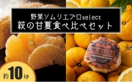 [№5226-1024]萩の甘夏 食べ比べ セット 10kg 20玉程度 野菜ソムリエ プロselect 甘夏 果物 デザート 柑橘