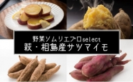 [№5226-1025]サツマイモ 4kg 萩・相島産 野菜ソムリエ プロselect 芋 お芋 野菜