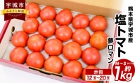 塩トマト ～夢ロマン～約1kg 赤箱M～Sサイズ(12～20玉)宇城彩館【2024年6月上旬まで発送予定】
