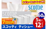スコッティ ティッシュペーパー 200組 60箱(5箱×12パック) ティッシュ