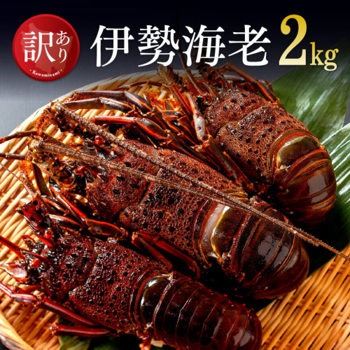 【訳あり】冷凍伊勢海老2kg（3～10尾） 【 伊勢えび 魚介類 いせえび 海産物 訳あり 宮崎県産 国産 】 126339 - 宮崎県川南町