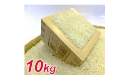 ＜令和7年産＞お米マイスター厳選 一等米コシヒカリ 精米 10kg【1486500】