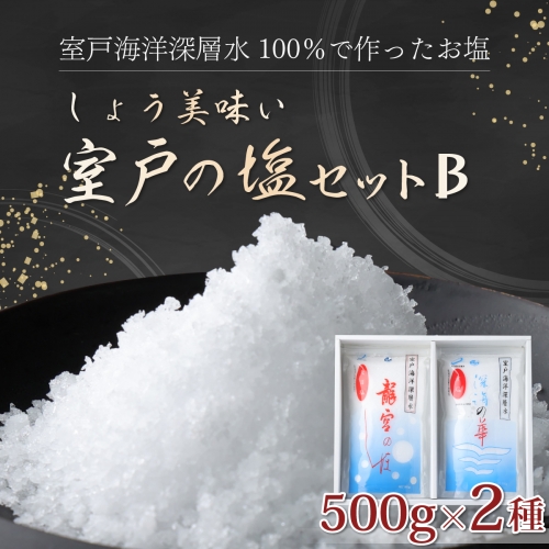 しょう美味い室戸の塩セットＢ 計1000ｇ 12636 - 高知県室戸市
