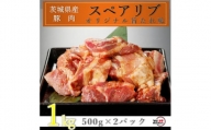 匠坂東豚 茨城県産豚スペアリブ 特製たれ漬け 1kg(500g×2パック)【1481696】