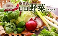 Ａ－０５　季節の 日田野菜 セット 詰め合せ
