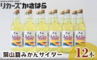 No.032 葉山夏みかんサイダー（12本入り） ／ ジュース 炭酸 ミカン 神奈川県 特産品