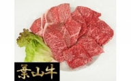 No.024 葉山牛焼肉盛り合わせ ／ 牛肉 和牛 やきにく カルビ 神奈川県 特産品