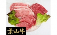 No.027 葉山牛ステーキ三昧 ／ 牛肉 和牛 ヒレ サーロイン ランプ 神奈川県 特産品