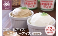 【人気スイーツ（洋菓子）】武田アイス（牛乳アイス6個／コーヒーアイス6個）計12個詰合せ