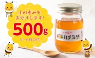 【自然のまま】富津産ハチミツ500g（5～6月の花）