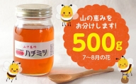 【自然のまま】富津産ハチミツ500g（7～8月の花）