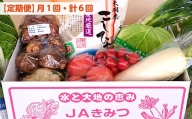 【定期便６ヶ月】野菜詰め合わせ＆天羽米コシヒカリ５kg